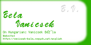 bela vanicsek business card